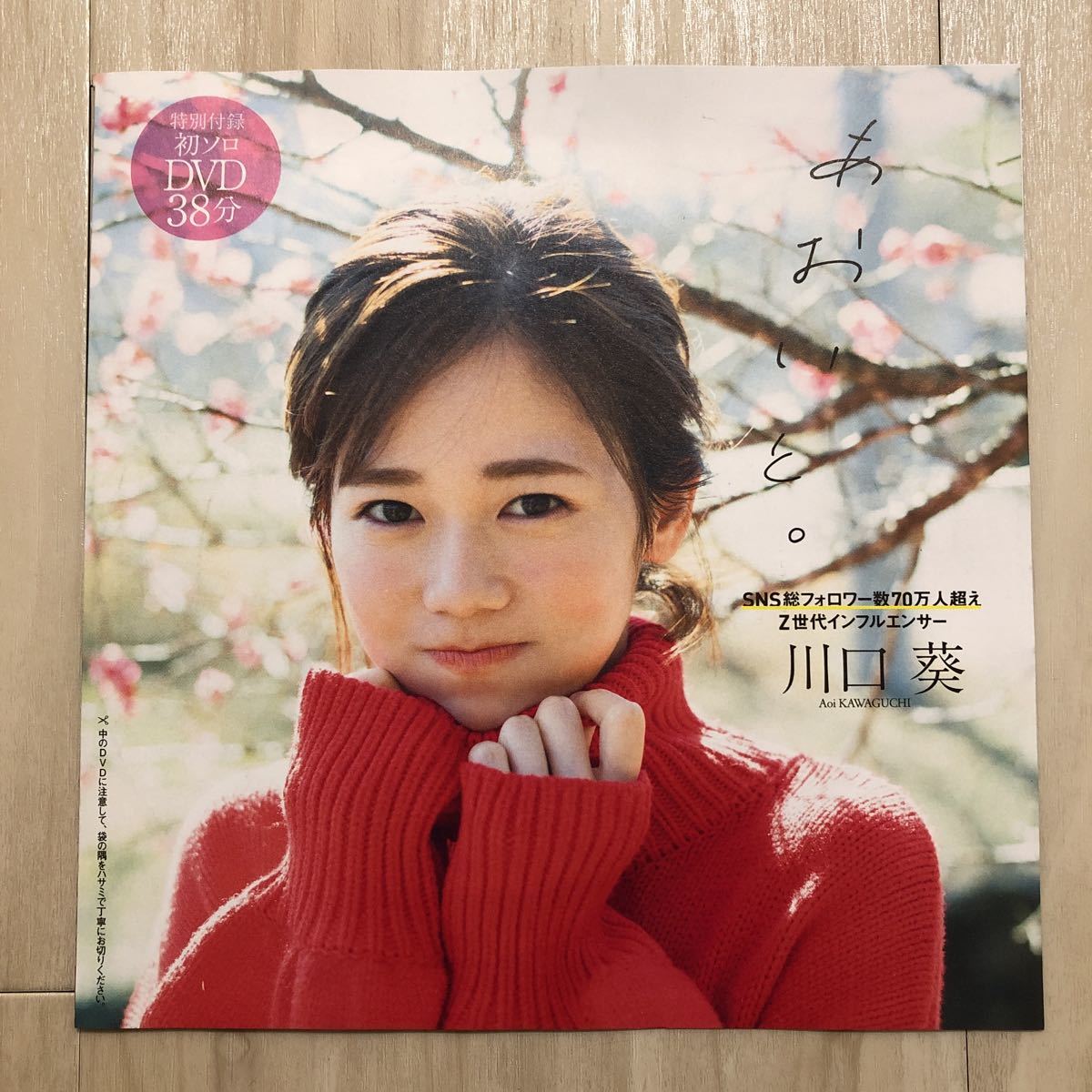 週刊プレイボーイ　2024 DVD未開封　40冊　セット　まとめ売り DVD未開封】週刊プレイボーイ no.7/2024 - メルカリ