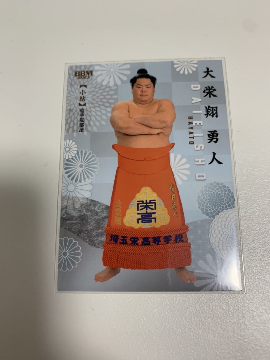早い者勝ち！大相撲 反物 浴衣 着物 追手風部屋 大栄翔 早い者勝ち！大相撲 反物 浴衣 着物 追手風部屋 大栄翔 日本相撲