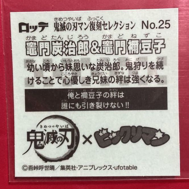 姿見鏡 全身 韓国風 クマ 可愛い ミラー 大型160cmx60cm 2210 ミルオ君