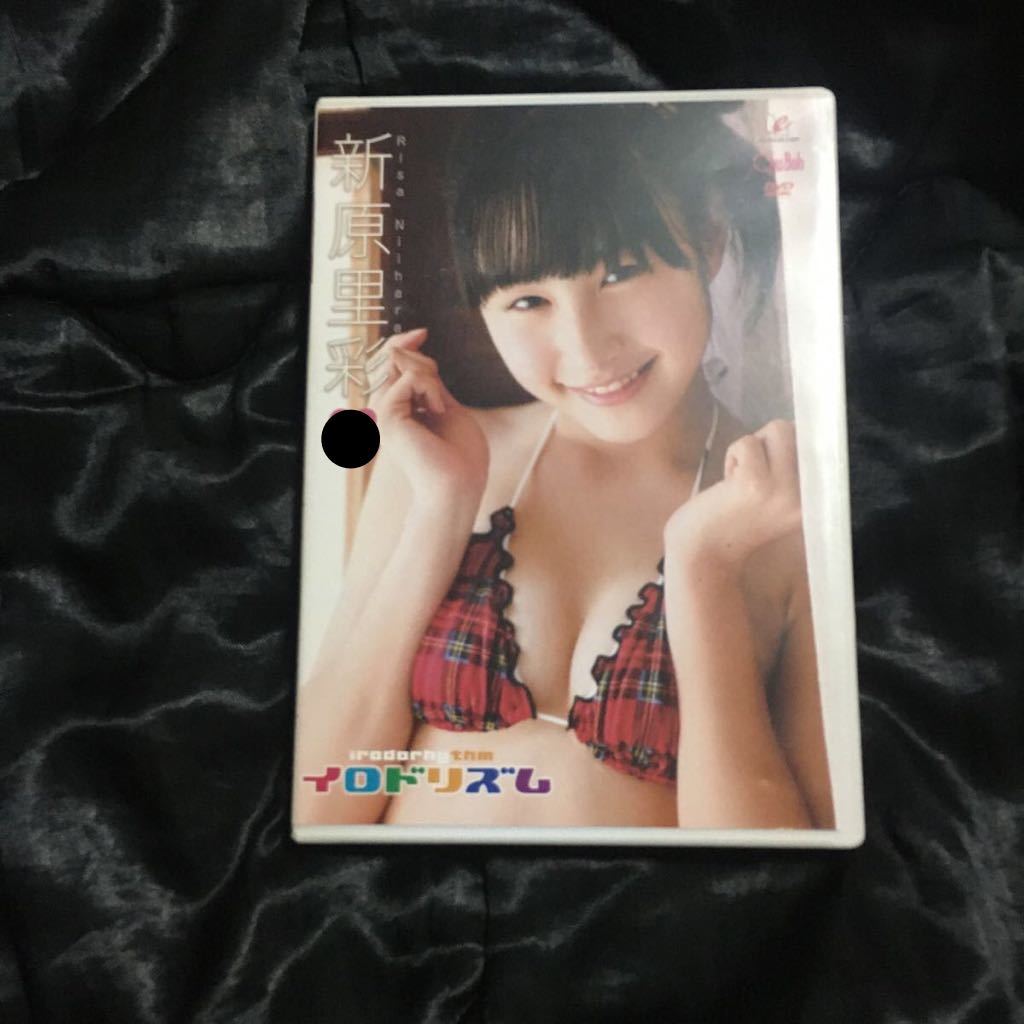 DVD】新原里彩「miu」メディアブランド