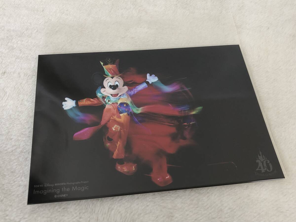 新品】即決◇未使用品 トートバッグ イマジニング ザ マジック