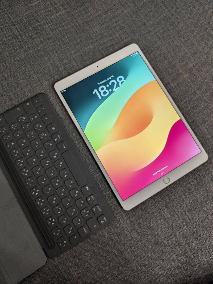 極美品】 ぬるく iPad Pro 10.5 256GB SIMフリー