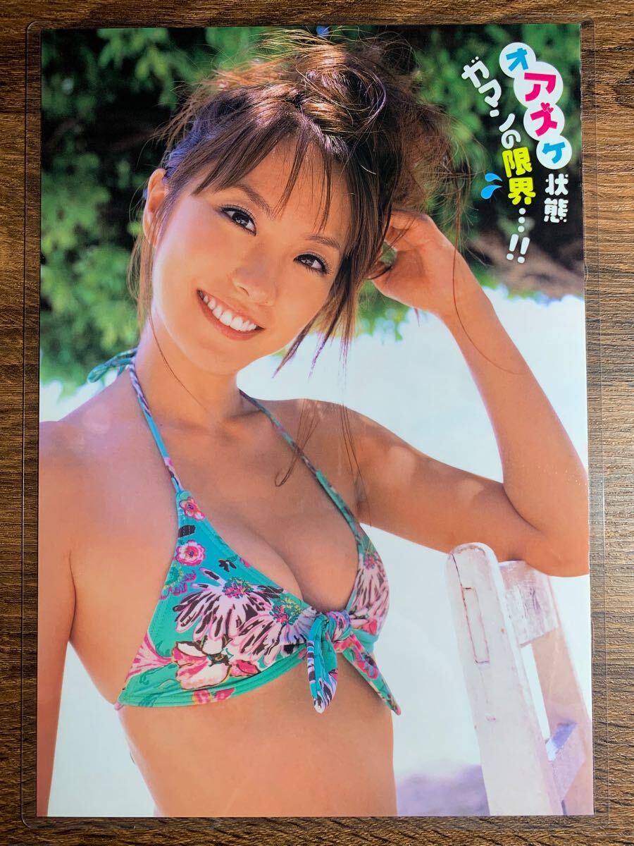 グラビア切り抜き 山本ゆう 「破壊力バツグン」