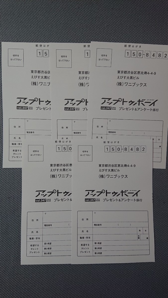 田口愛佳(AKB48) アップトゥボーイ 直筆サイン入りチェキ