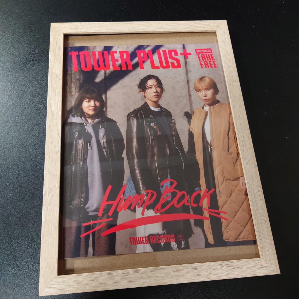 ☆椎名林檎と宮本浩次(エレカシ）獣ゆく細道 タワレコ特典ポスター☆の