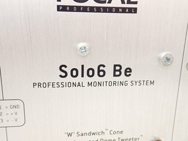 Apple ピンバッジprofessional2013