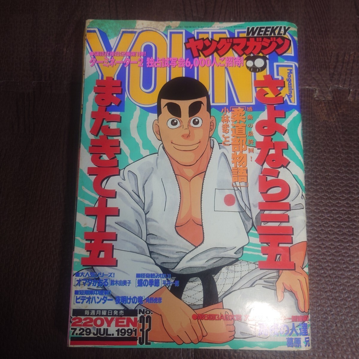 週刊 ヤングマガジン 1995年 No.15 浜崎あゆみ 雛形あきこ うらら