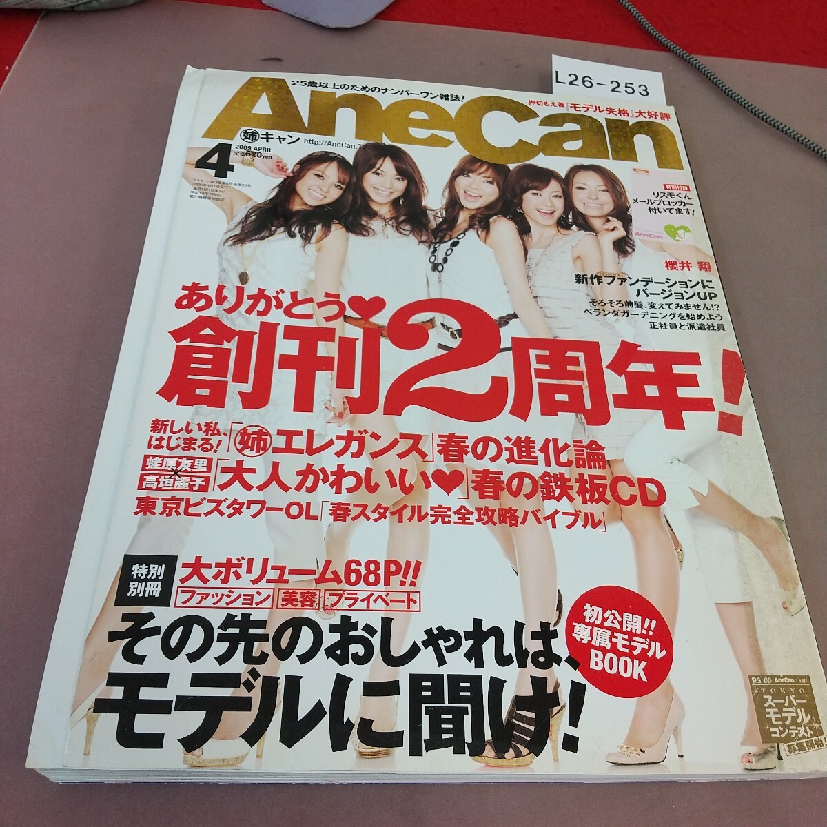 ☆AneCan(姉)キャン ○2010年10月号 ☆押切もえ ☆高垣麗子 ☆蛯原友里