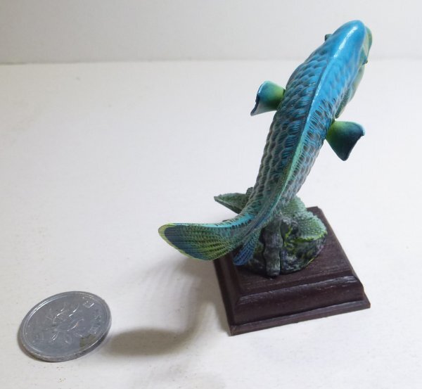 ネイチャーテクニカラー 海遊館ミュージアム メガネモチノウオ 奇譚クラブ ネイチャーテクニカラー 海遊館ミュージアム メガネモチノウオ