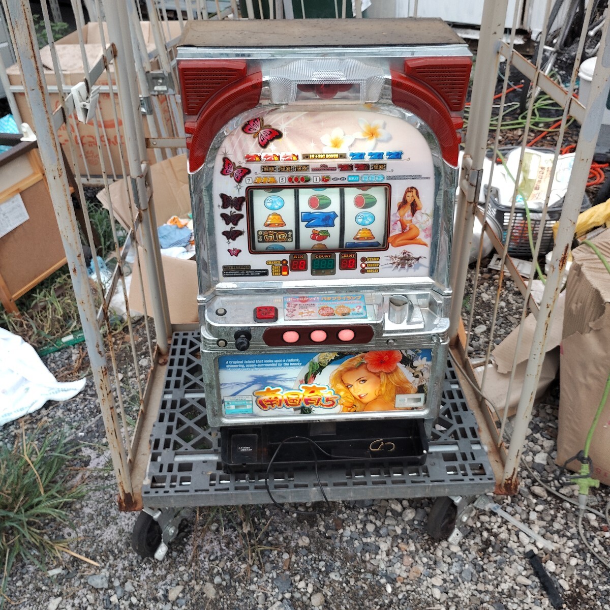 裏ロムオリンピアビーナスセブンフルーツver