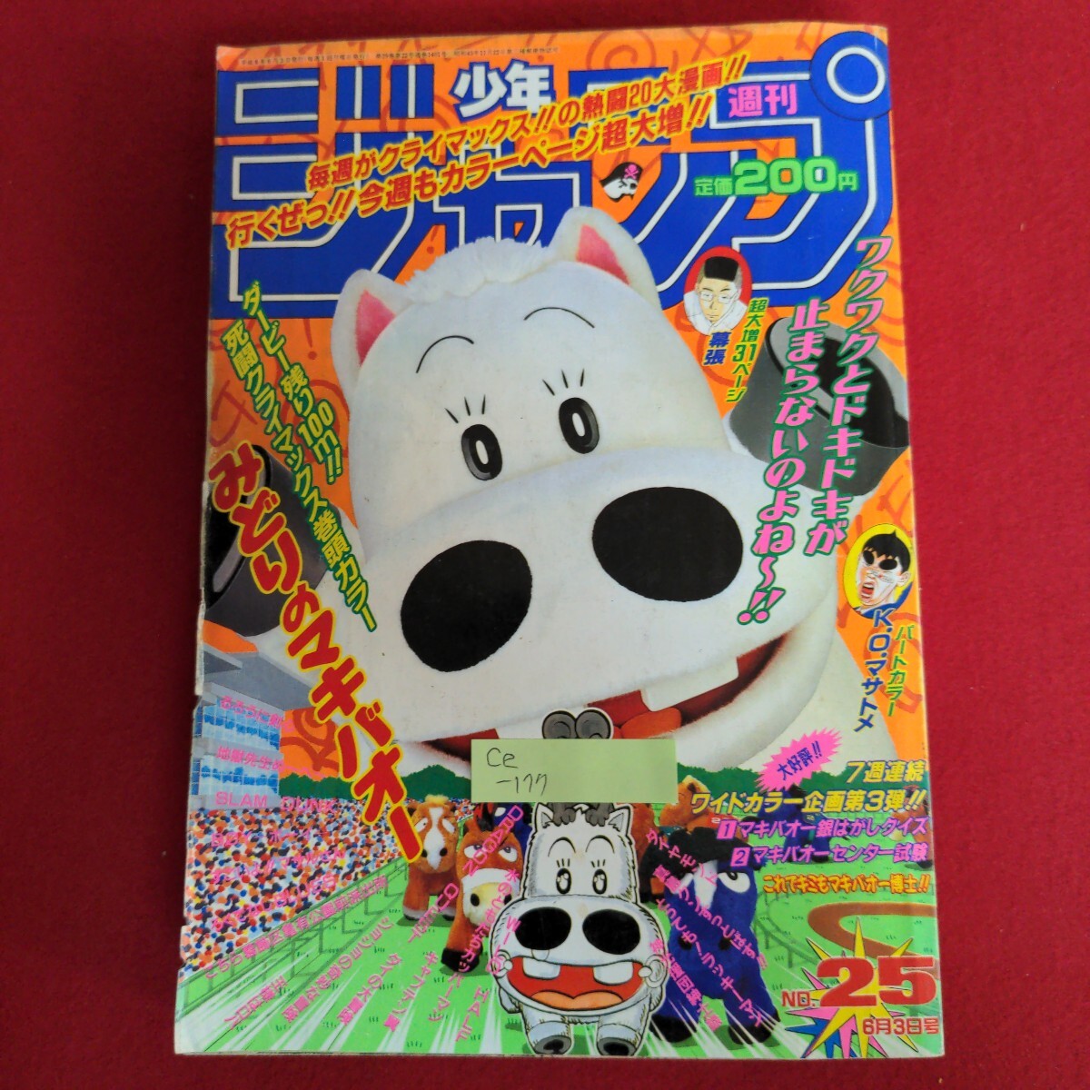 THE MOMOTAROH 真島クンすっとばす 『MOMOTAROH VS 真島零 ~不死の女神