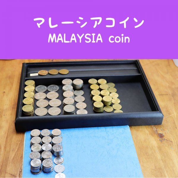 1977年 マレーシア 25リンギット 硬貨 プルーフライク 1977年 マレーシア 25リンギット 硬貨 プルーフライク マレーシア 貨幣