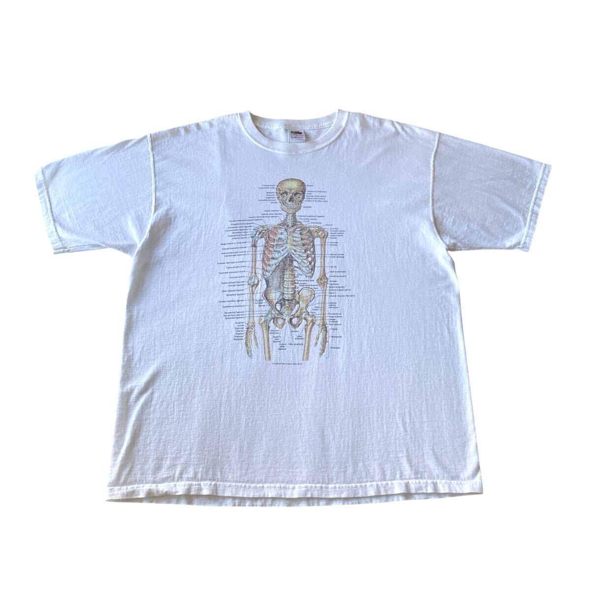 90s Anatomical Chart Co. 骨格標本 Tシャツ XL 白 USA製 ビンテージ 