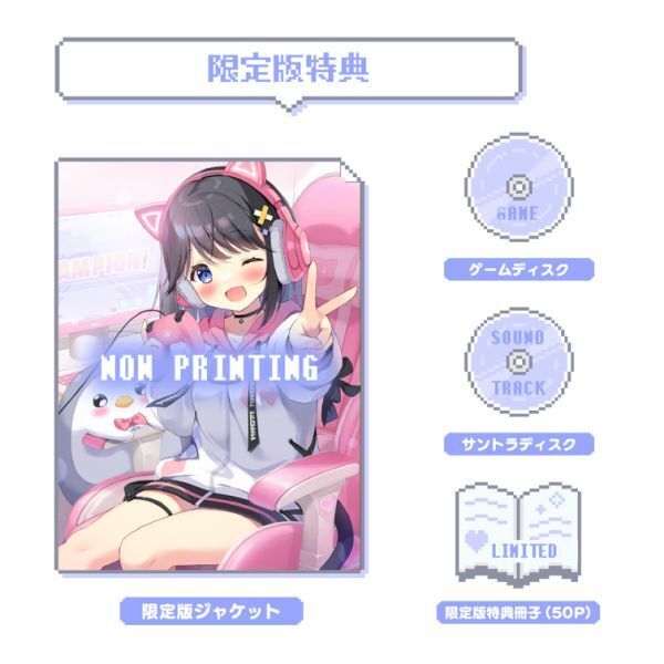 即決 バムとケロ かばんうりのガラゴ ぶーちゃんとおにいちゃん 島田
