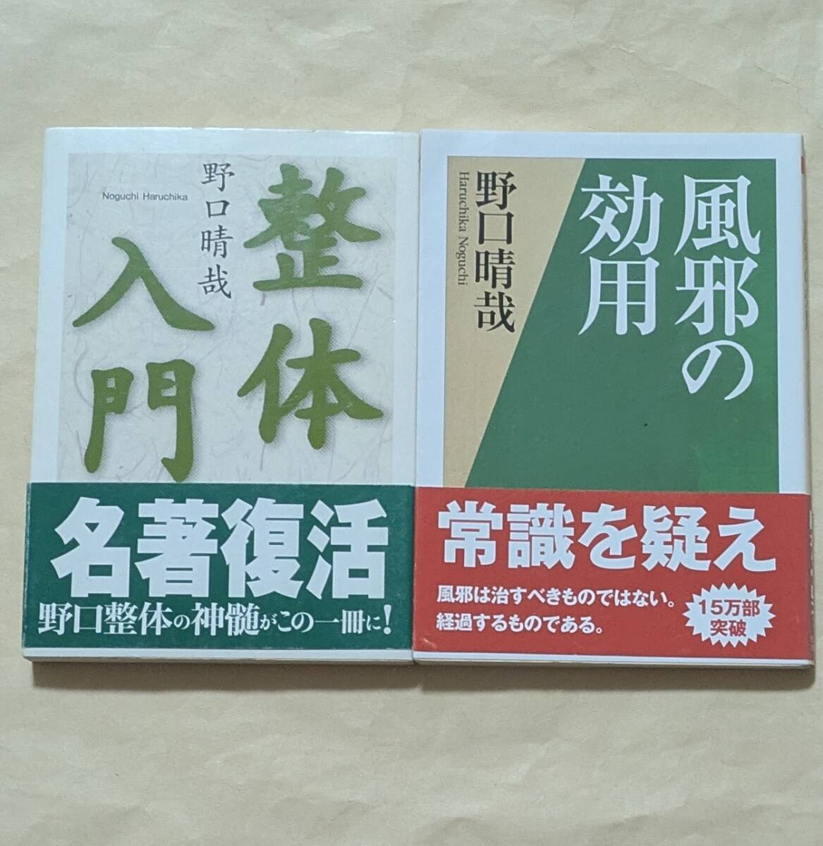 中古】【古美味】野口晴哉 自筆一行書 言者不知知者黙 野口整体創始者