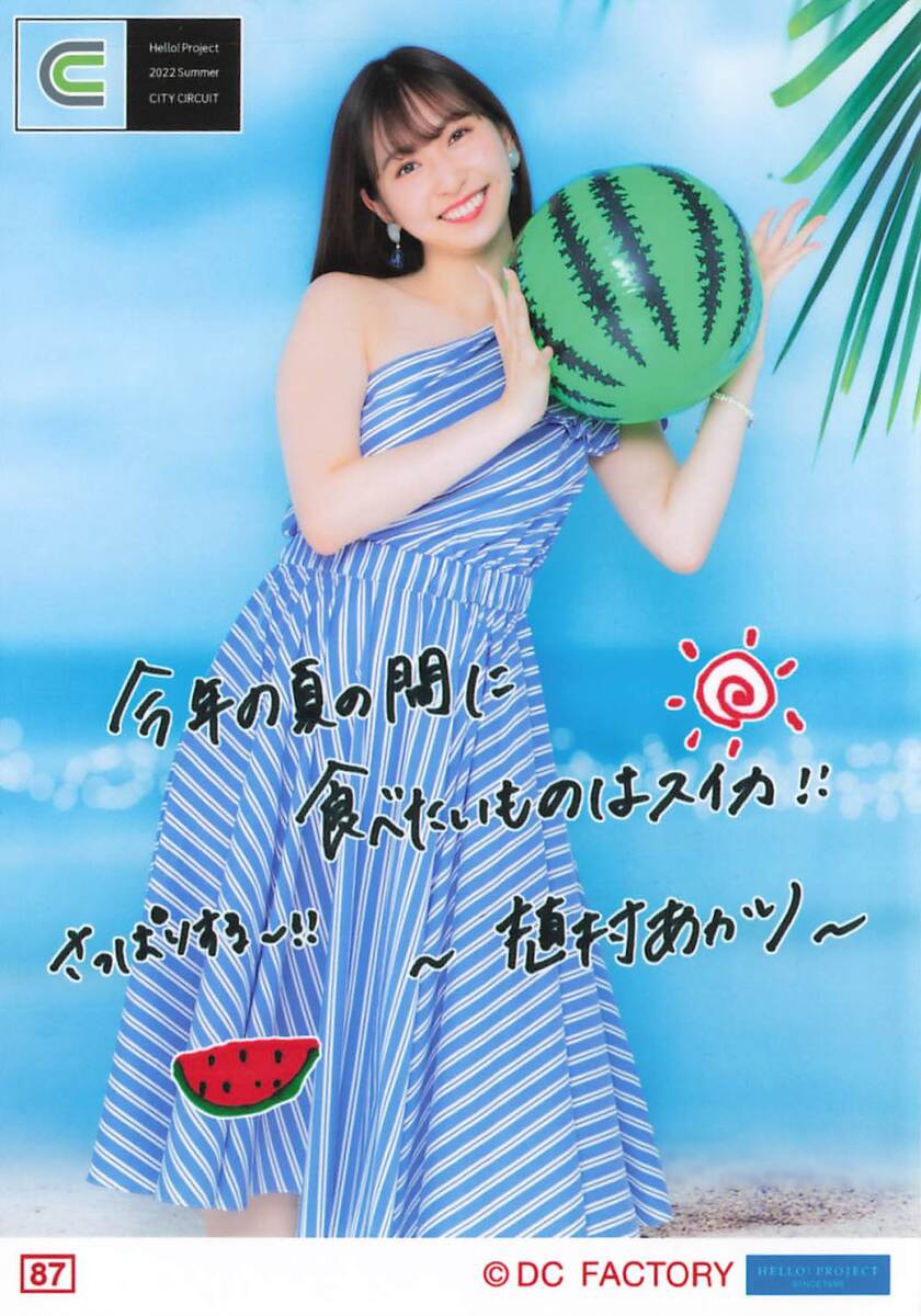 新品】植村あかり コレクション写真集 31枚○秘お楽しみ写真収納