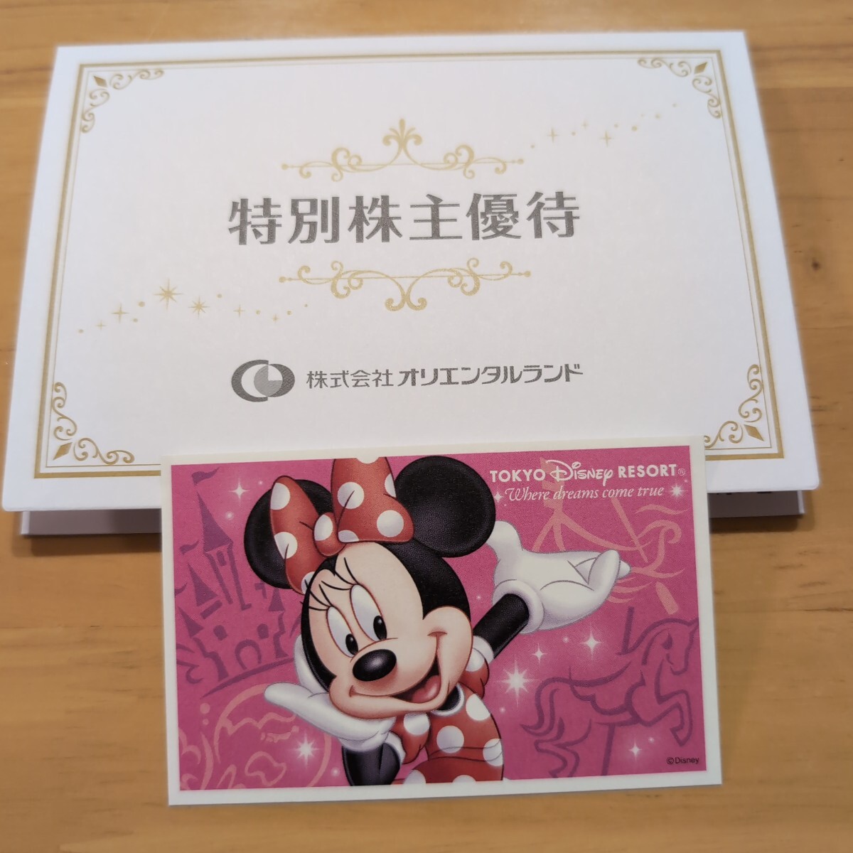 DVD付【廃盤】写真集 東京ディズニーリゾート ドリーム 25周年 篠山