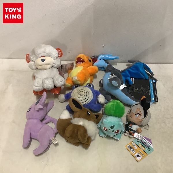 新品】【ポケモンセンター】フード付きポンチョ☆メガリザードンX ver