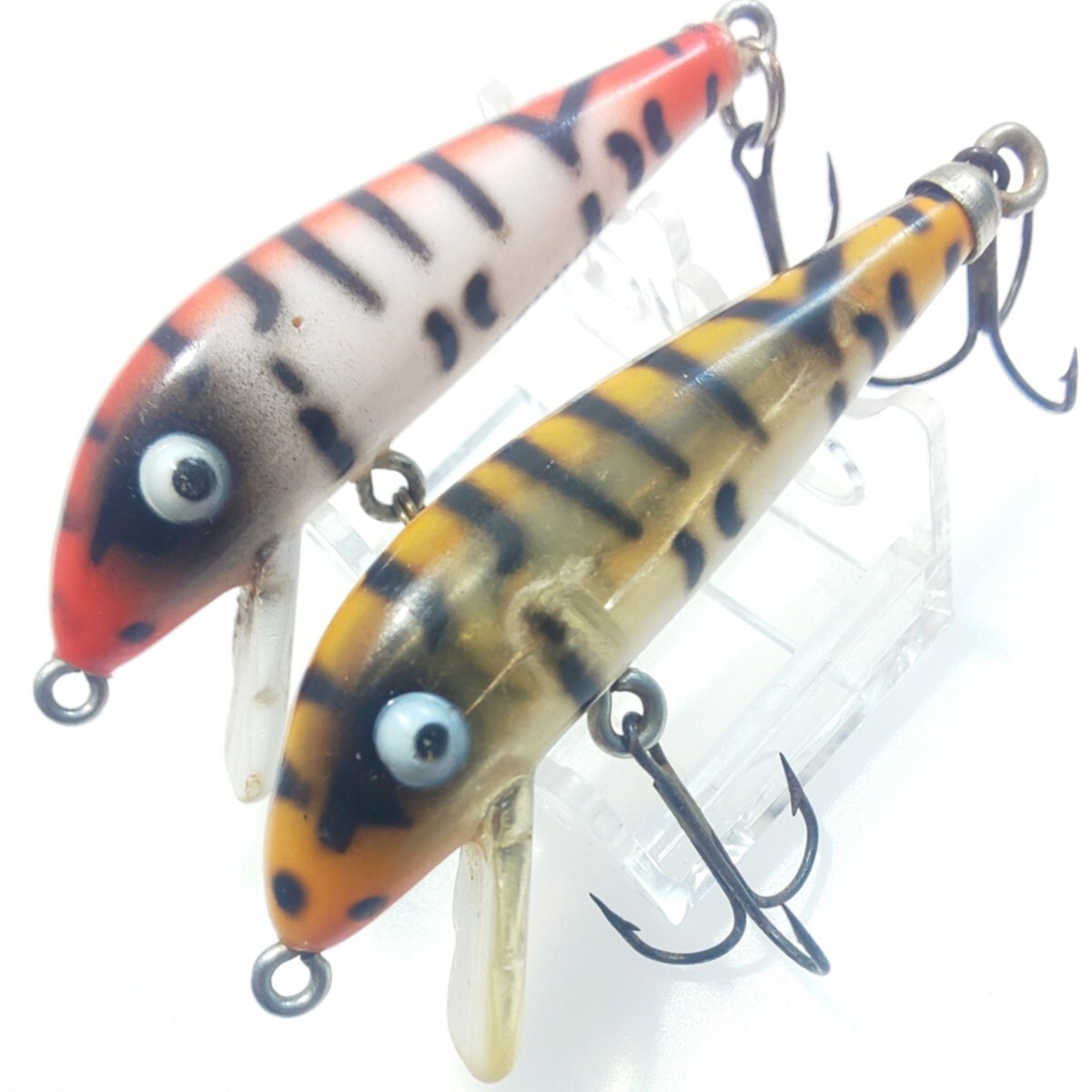 ハトリーズ　スペシャル　マダガスカル　トカゲ　オス　メス　ペア　セット 中古】ハトリーズ スペシャル 1993年 マダガスカルのトカゲ メス