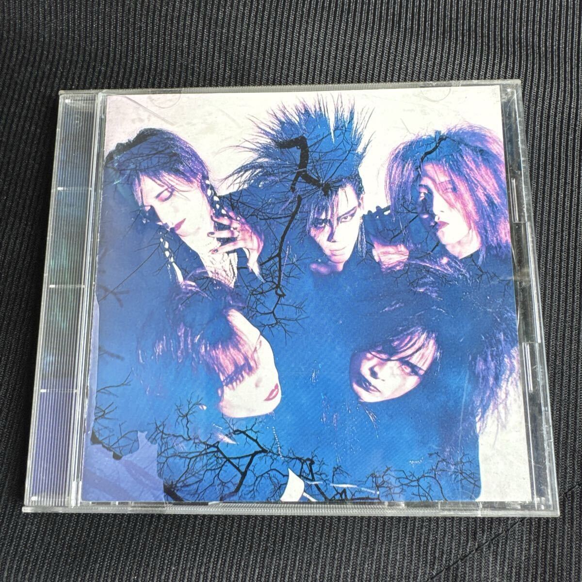 激レアLUNA SEA、ルナシーのインディーズ時代の冊子本の落札情報詳細