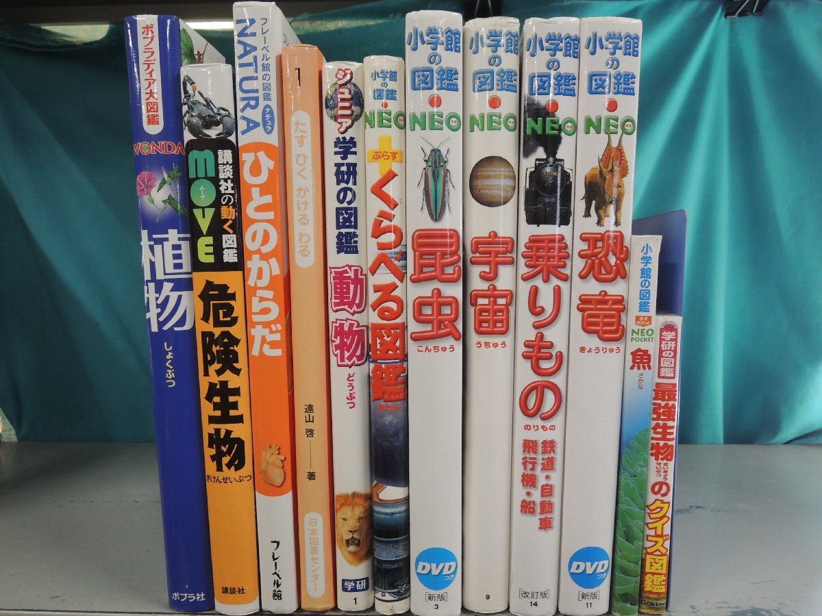 中古】図鑑8冊 小学館の図鑑NEO植物,星と星座 21世紀幼稚園百科☆学研 