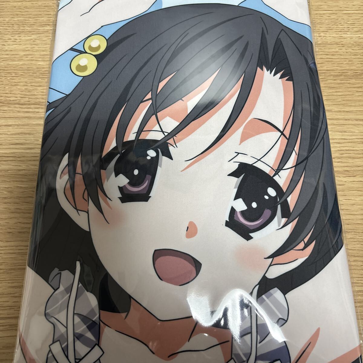 新品】citrus シトラス B2タペストリー Wスエードタペストリー