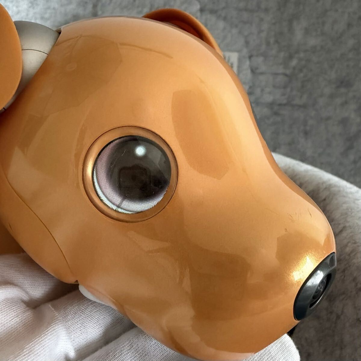 ☆グレイッチ 宇宙人飼育 (バーチャルペット)宇宙人コンタクトゲーム