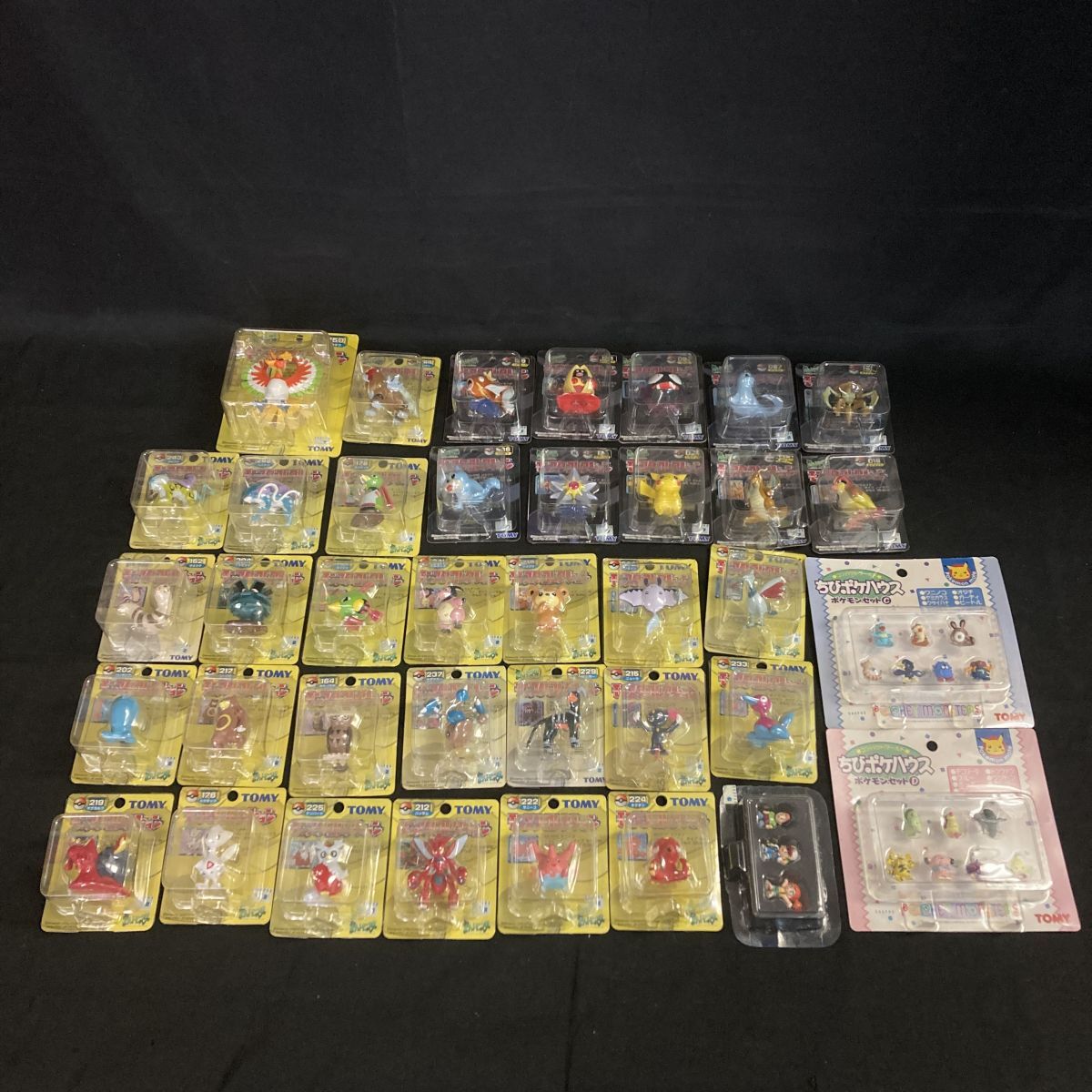 ポケットモンスター ベストウィッシュ 知能育成 ポケモン大運動会