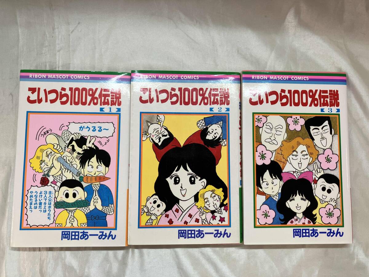 岡田あーみん お父さんは心配症全6巻 こいつら100%伝説全3巻 