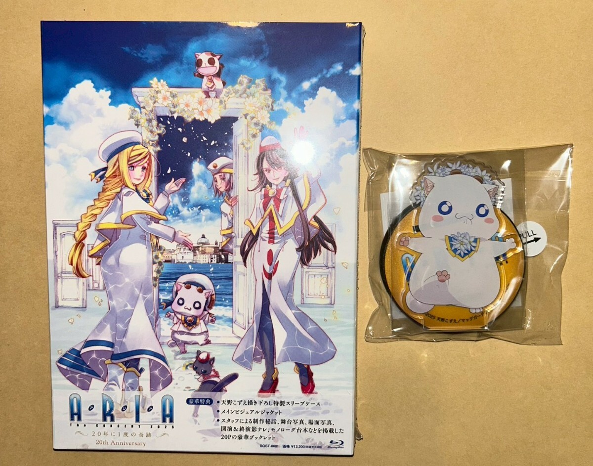 新品】天野こずえ ARIA 複製原画 B4 額装品 彩色パリーナB アリア社長
