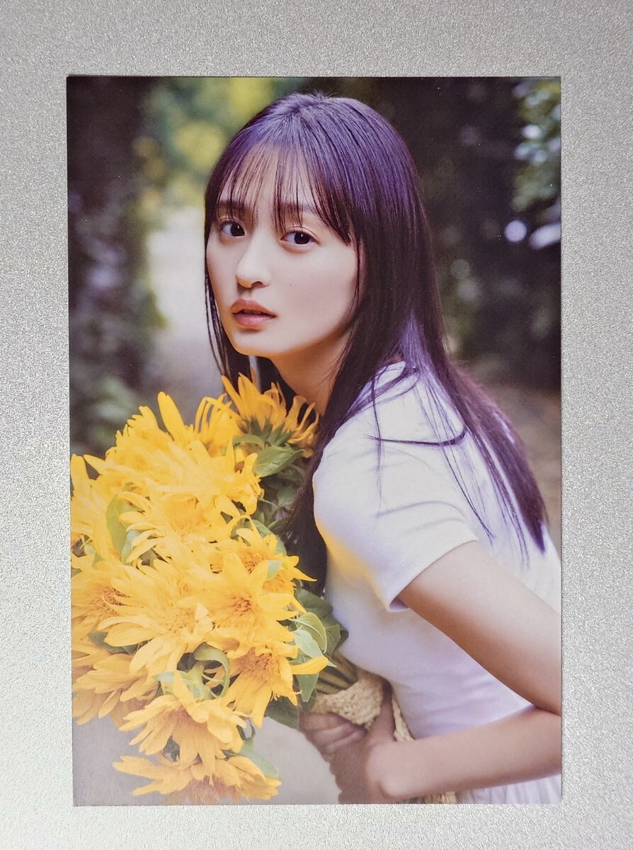 新品】小坂菜緒 1st写真集【君は誰？】封入特典ポストカード