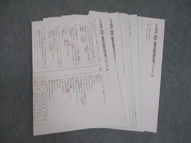 東大現代文ならこれ一択】鉄緑会 東大現代文問題集 テキスト・解説