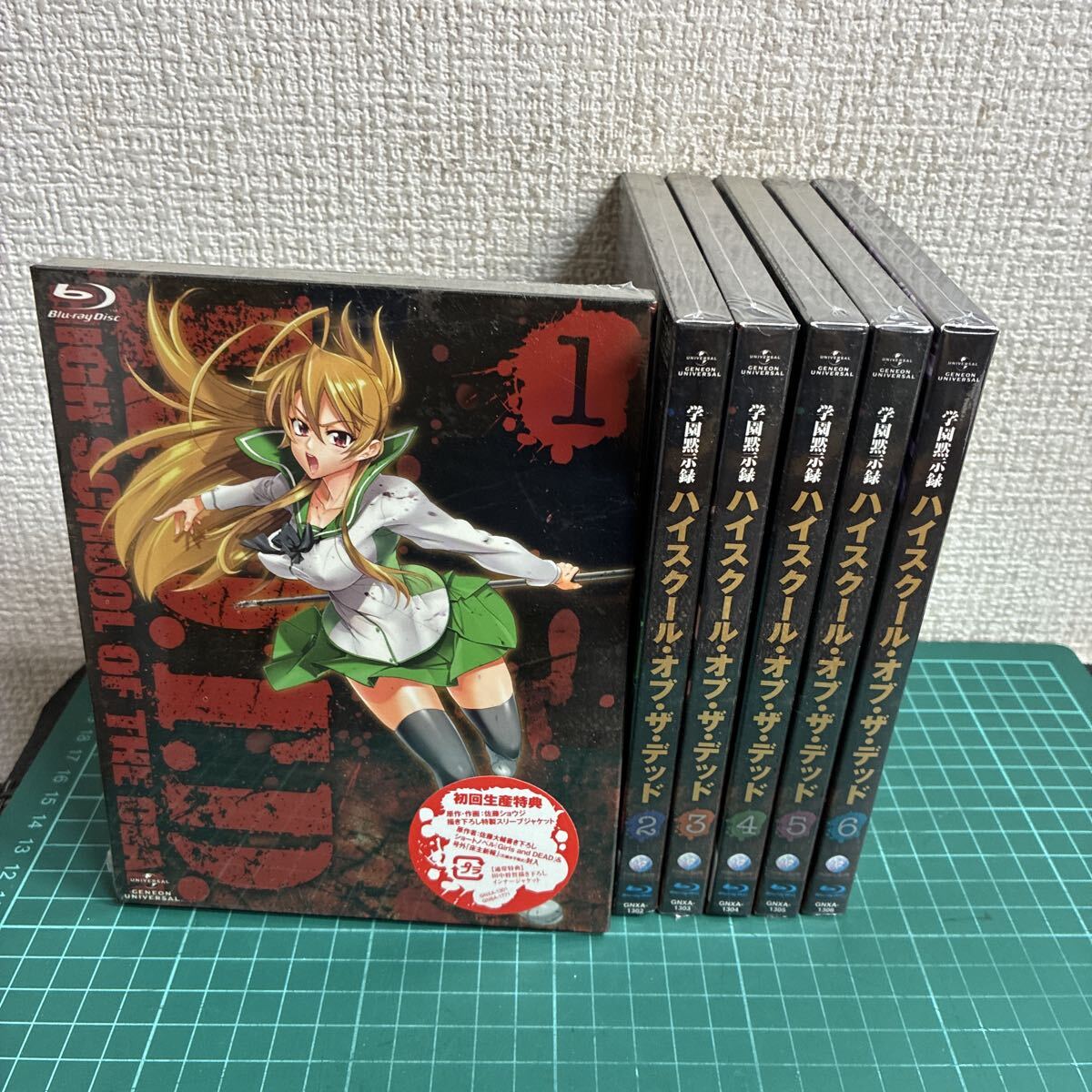学園黙示録 HIGHSCHOOL OF THE DEAD FULL COLOR EDITION ハイスクール