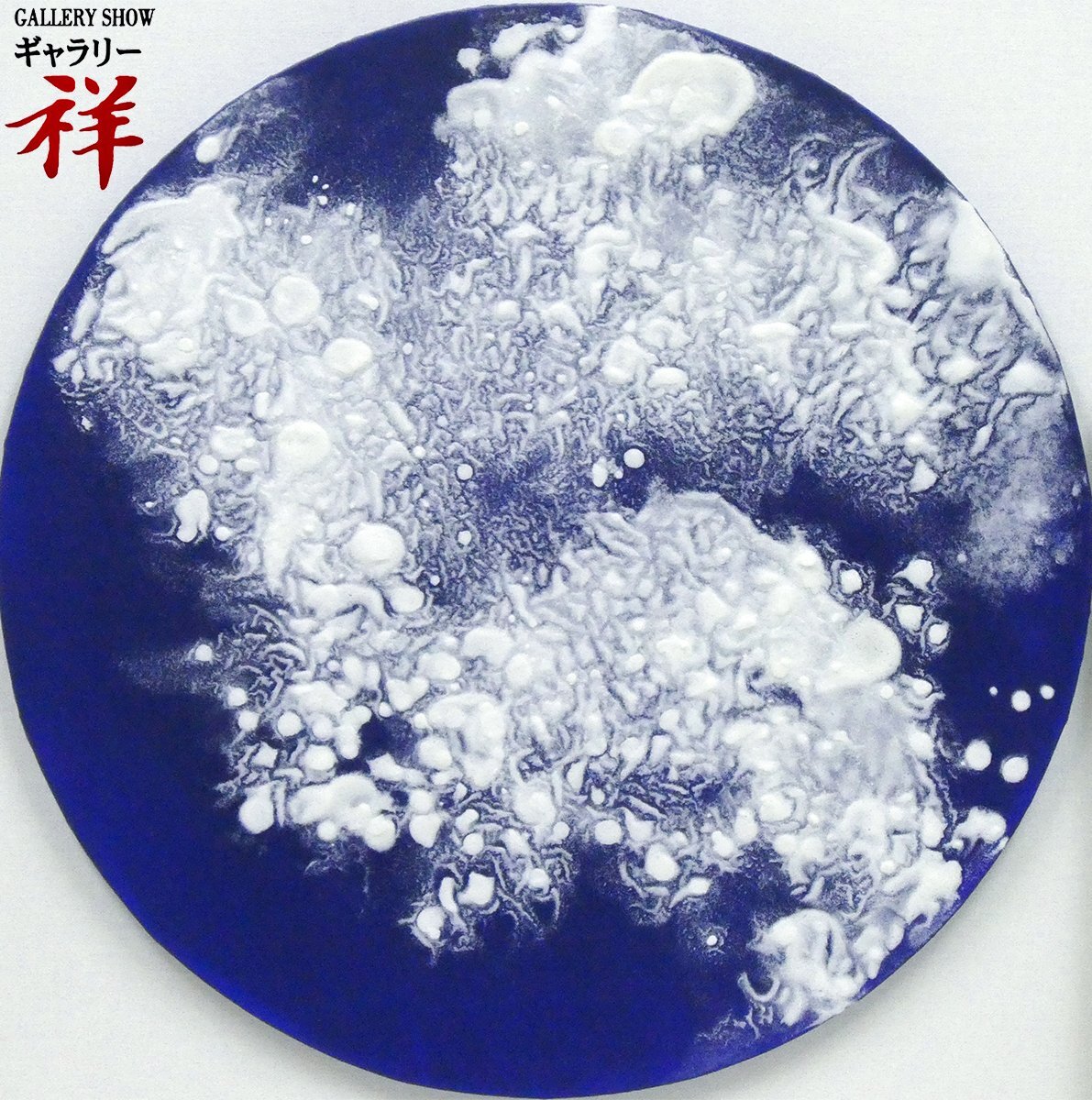 s149 薩摩焼 飾り 輪花 大鉢 大皿 細密色絵 大日本京都文林寶山銘 花鳥