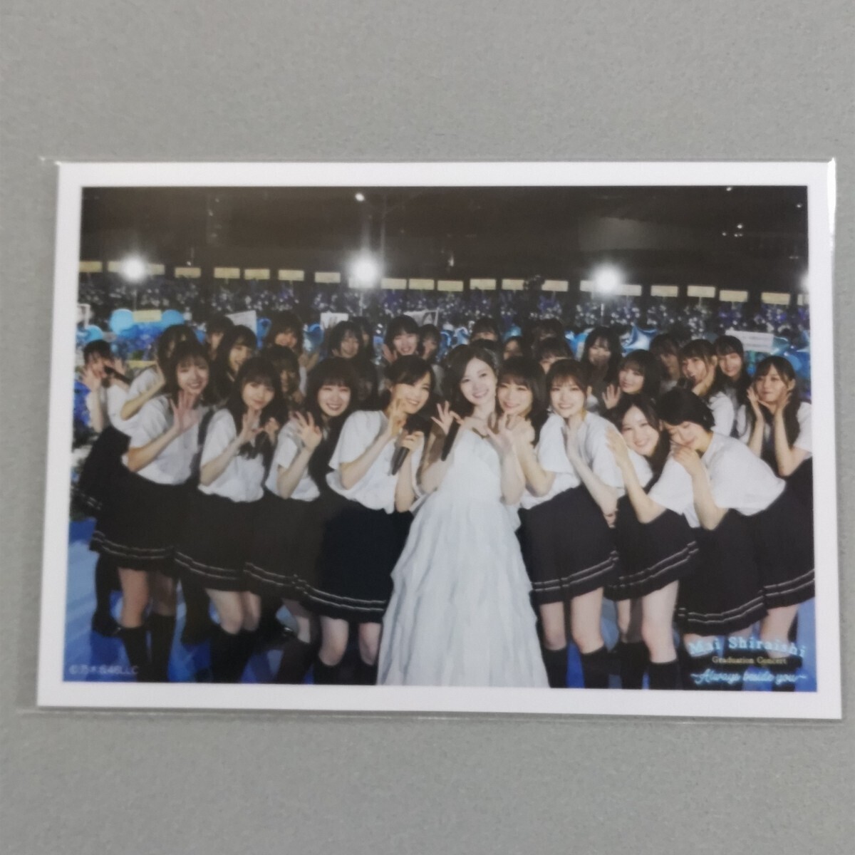 新品】乃木坂46 桜井玲香 橋本奈々未 生田絵梨花 白石麻衣 西野七瀬