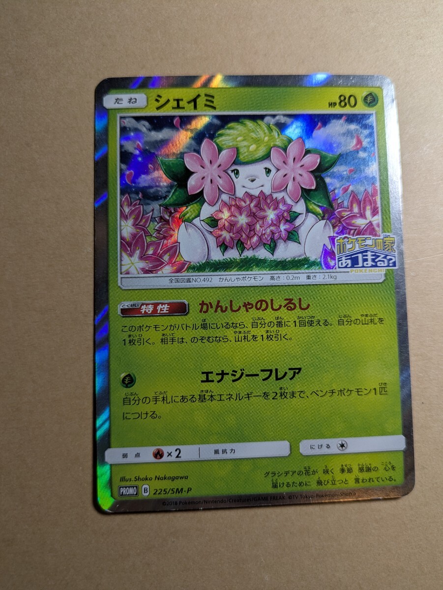 新品】鑑定品 ポケモンカード PSA GEM MT 10 シェイミ しょこたん 中川