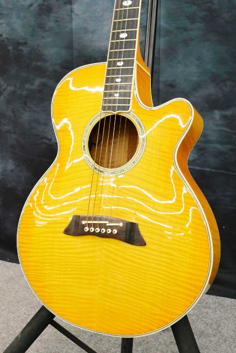 中古】レア物 TAKAMINE アコースティックギター ELITE TW-50