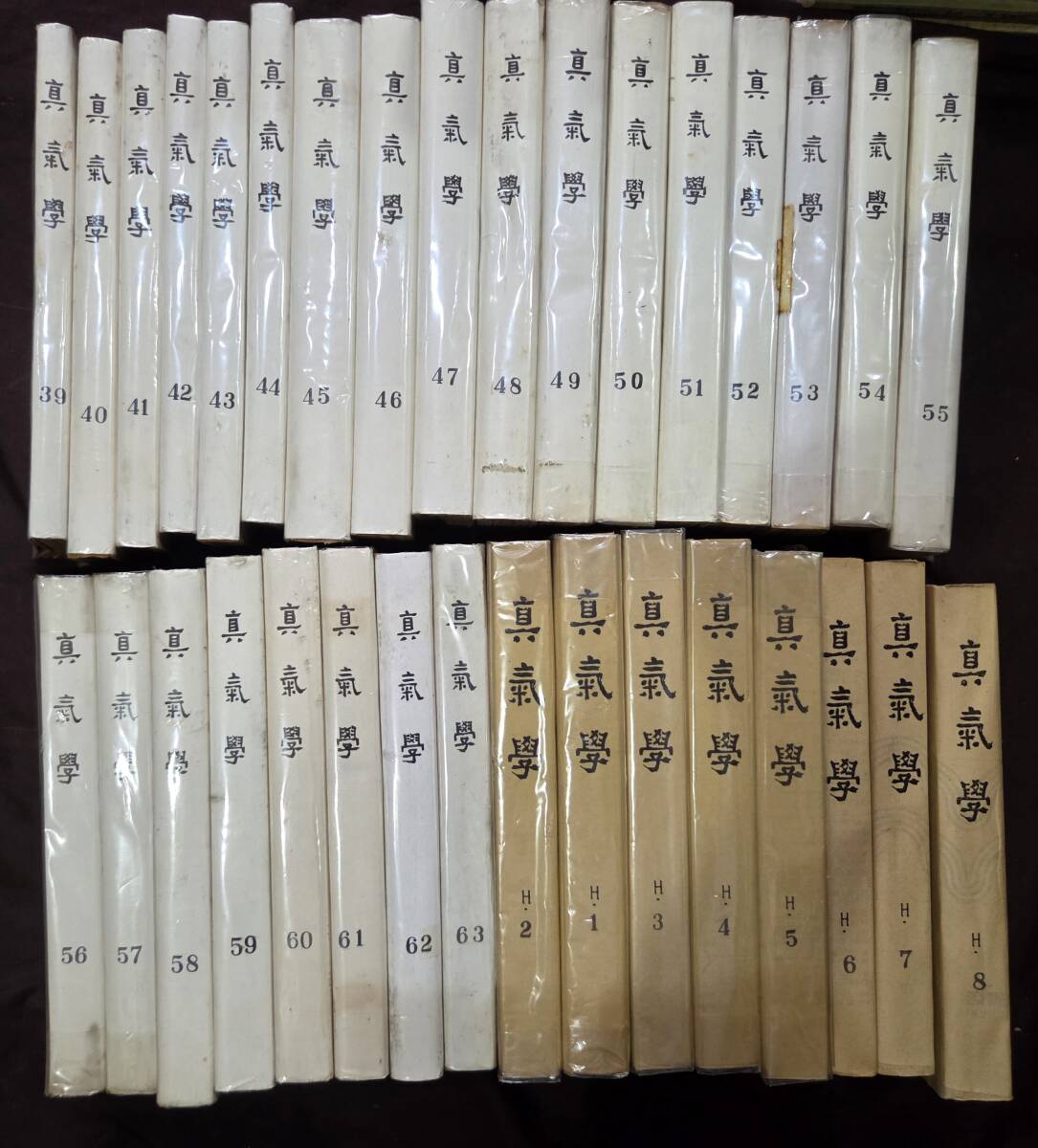 佐藤六龍 著作本 23冊セット 奇門遁甲 四柱推命 子平 易学 張耀文 干支