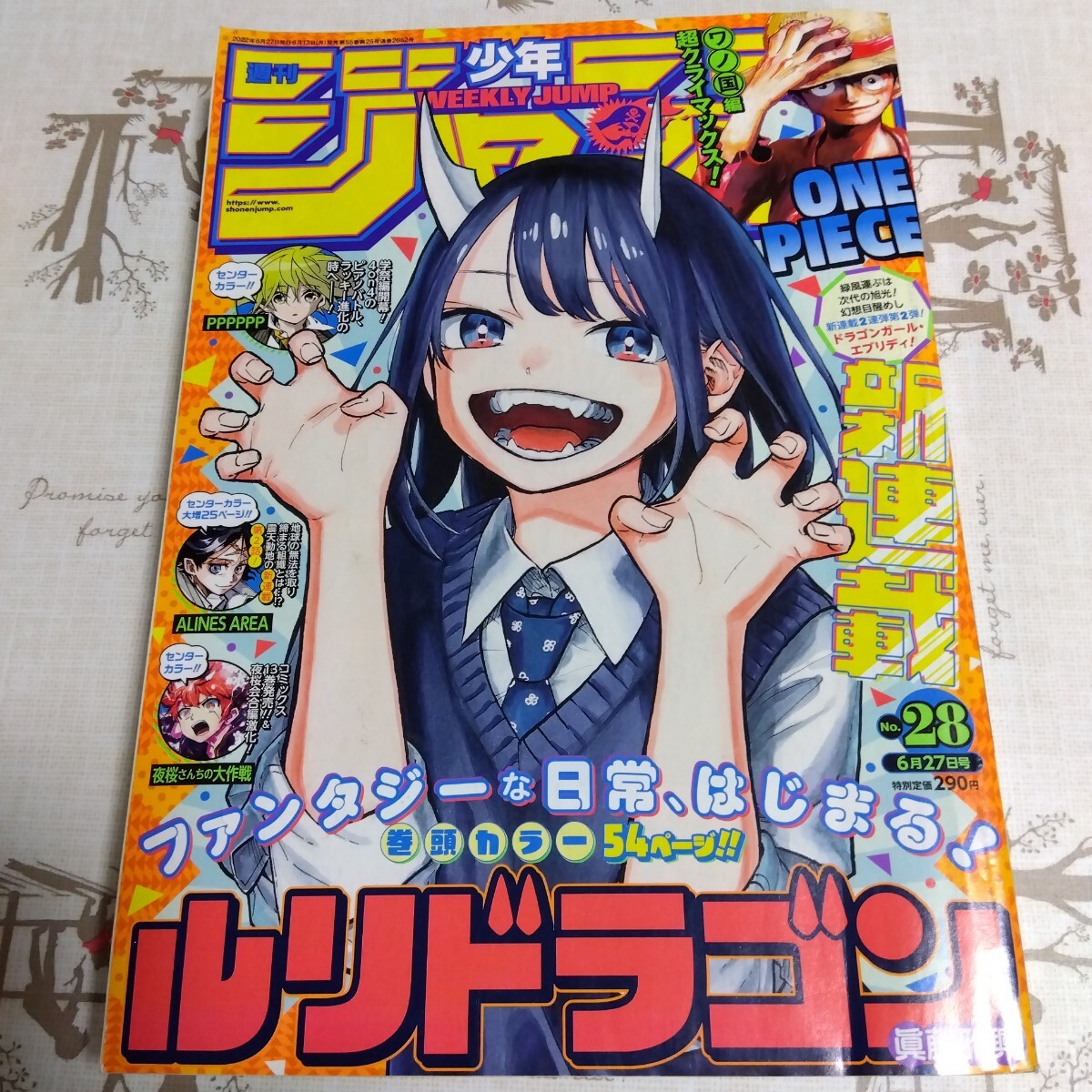 未使用】【貴重】ルリドラゴン 1巻初版帯付き イラストカード2種付属