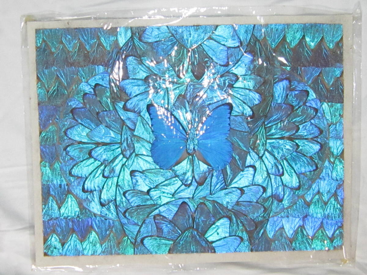 中古】916/□モルフォ蝶 羽絵アート 羽細工 絵画 額装の落札情報詳細