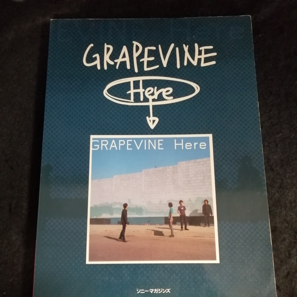 【中古】 デラシネ CD GRAPEVINE 送料無料】未使用 CD○グレイプバイン【デラシネ】2005 GRAPEVINE