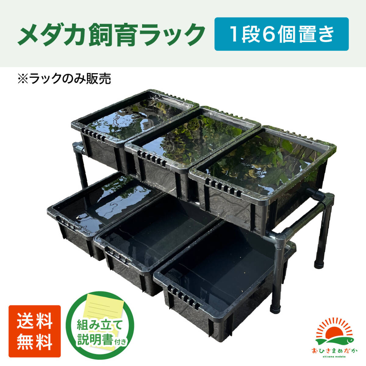 【最終値下げ！送料込み】めだか　オーバーフロー型ブリード(育成)台　メダカラック 新品】メダカ飼育ラック 木製 の落札情報詳細 - Yahoo!オークション