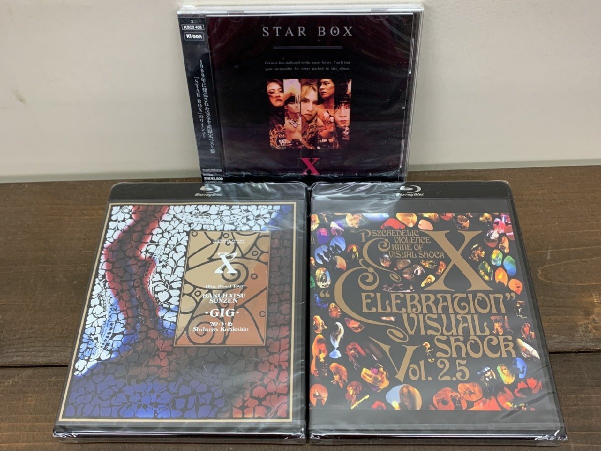貴重】 X JAPAN VISUAL SHOCK Vol.2.5 CELEBRATION レーザーディスク版