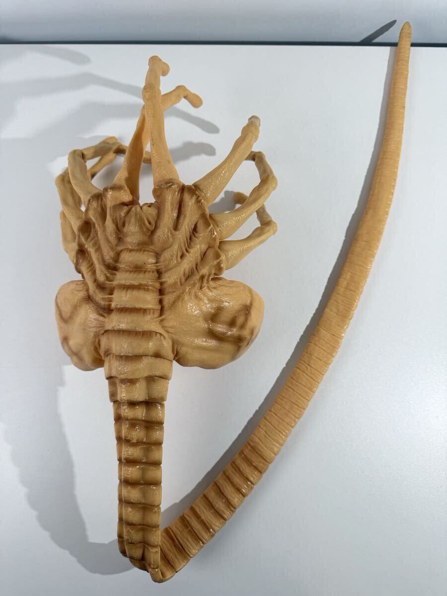 TSUKUDA HOBBY ツクダ ホビー Face Hugger フェイスハガー 1/1 ソフビ