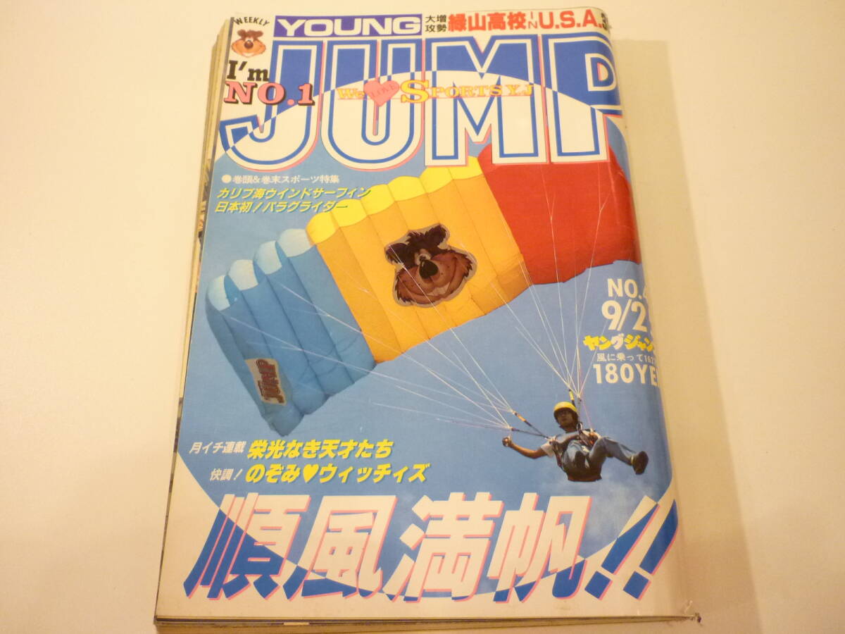 中古】○『みんなあげちゃう』(1985)浅野なつみ 岡竜也 VHSの落札情報