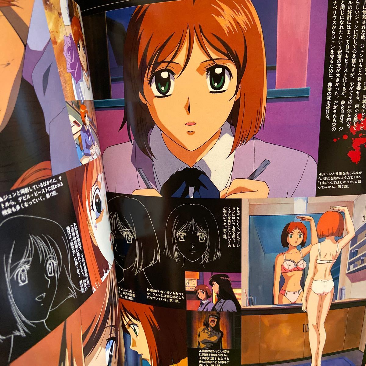 絶版 初版本 帯付き 永井豪 デビルマンレディーアニメーションメモワール 絶版 初版本 帯付き 永井豪 デビルマンレディーアニメーション