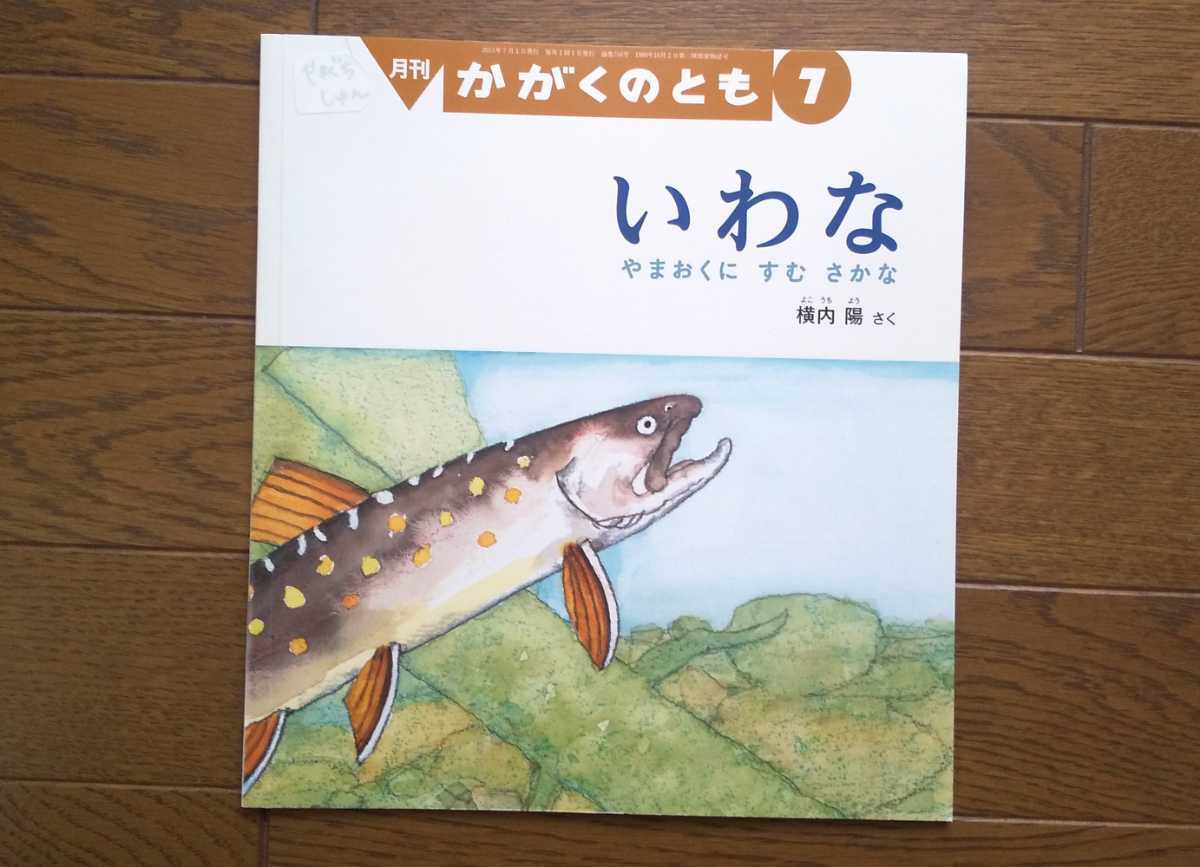 絵本「いわな」横内陽☆やまおくにすむさかな☆かがくのとも☆保育園