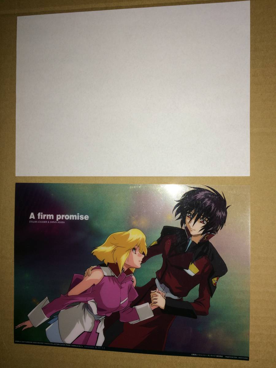 機動戦士ガンダムSEED DESTINY フォトコレクション CellDX PHASE