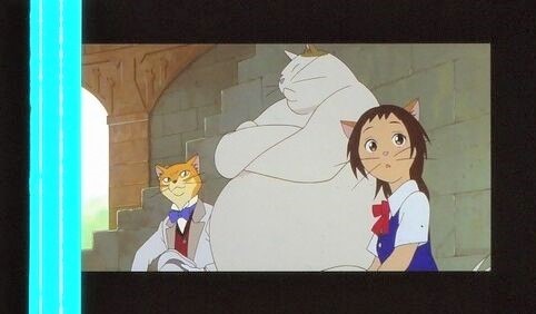 猫の恩返し 35mmフィルム 連続5コマ 池脇千鶴 袴田吉彦 山田孝之 前田