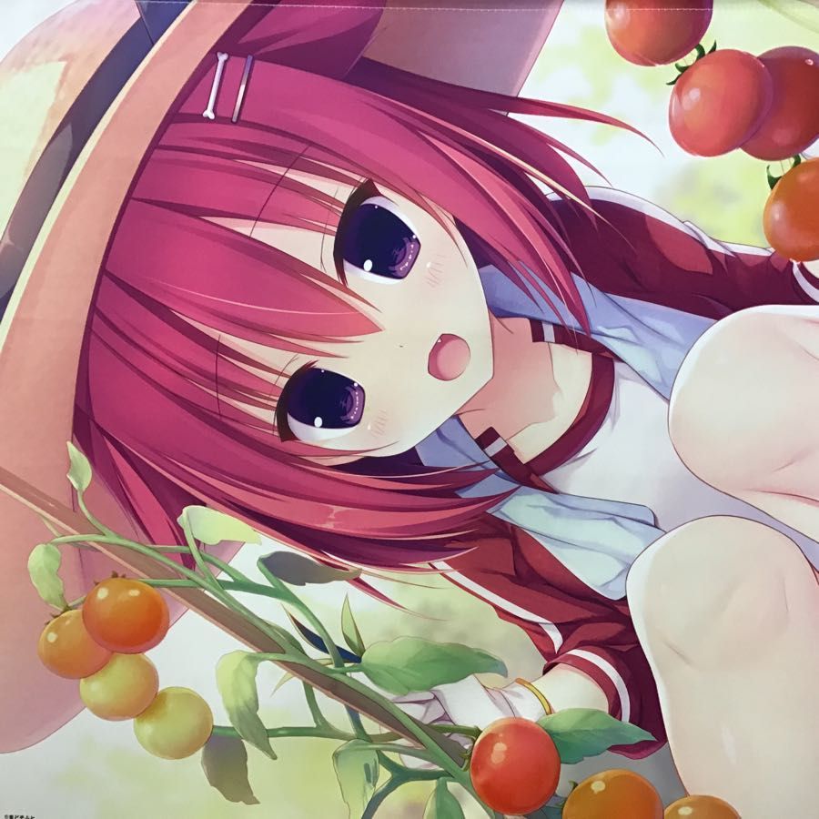 狩野みなと タペストリー ゲーム ラズベリーキューブ 電気外祭り まど